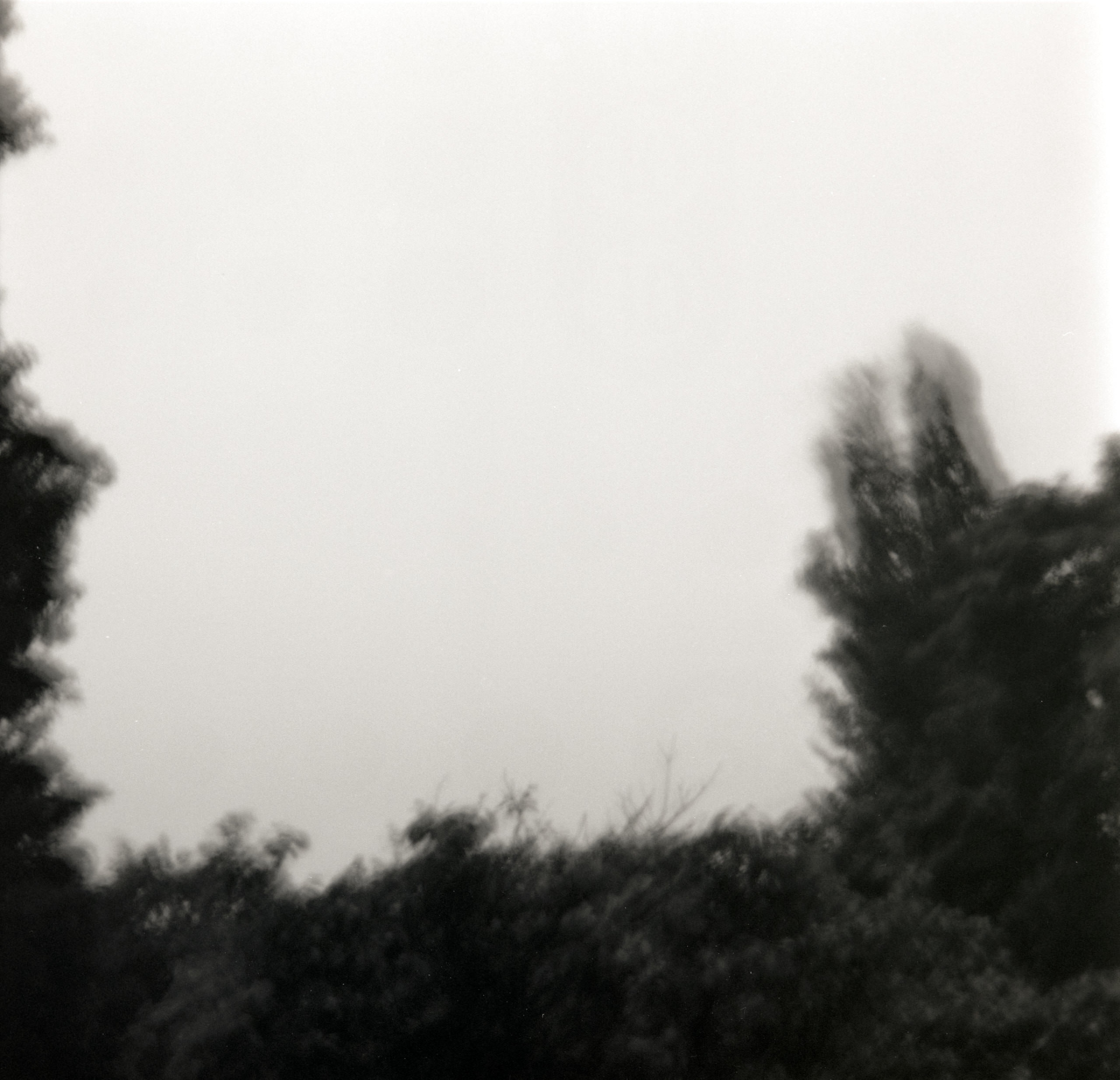 AHP FilmScan 240808 0980